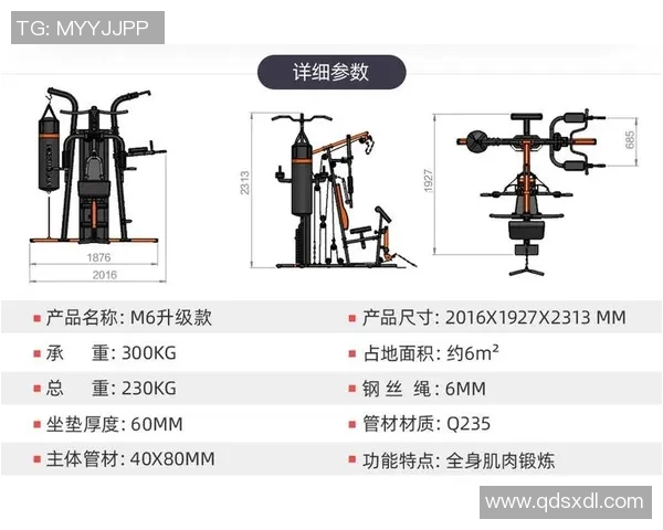 练腰部力量的健身器材推荐与使用技巧