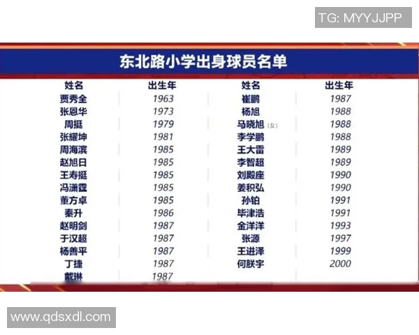 中国足球明星因违法行为被判刑的详细名单与背后故事解析